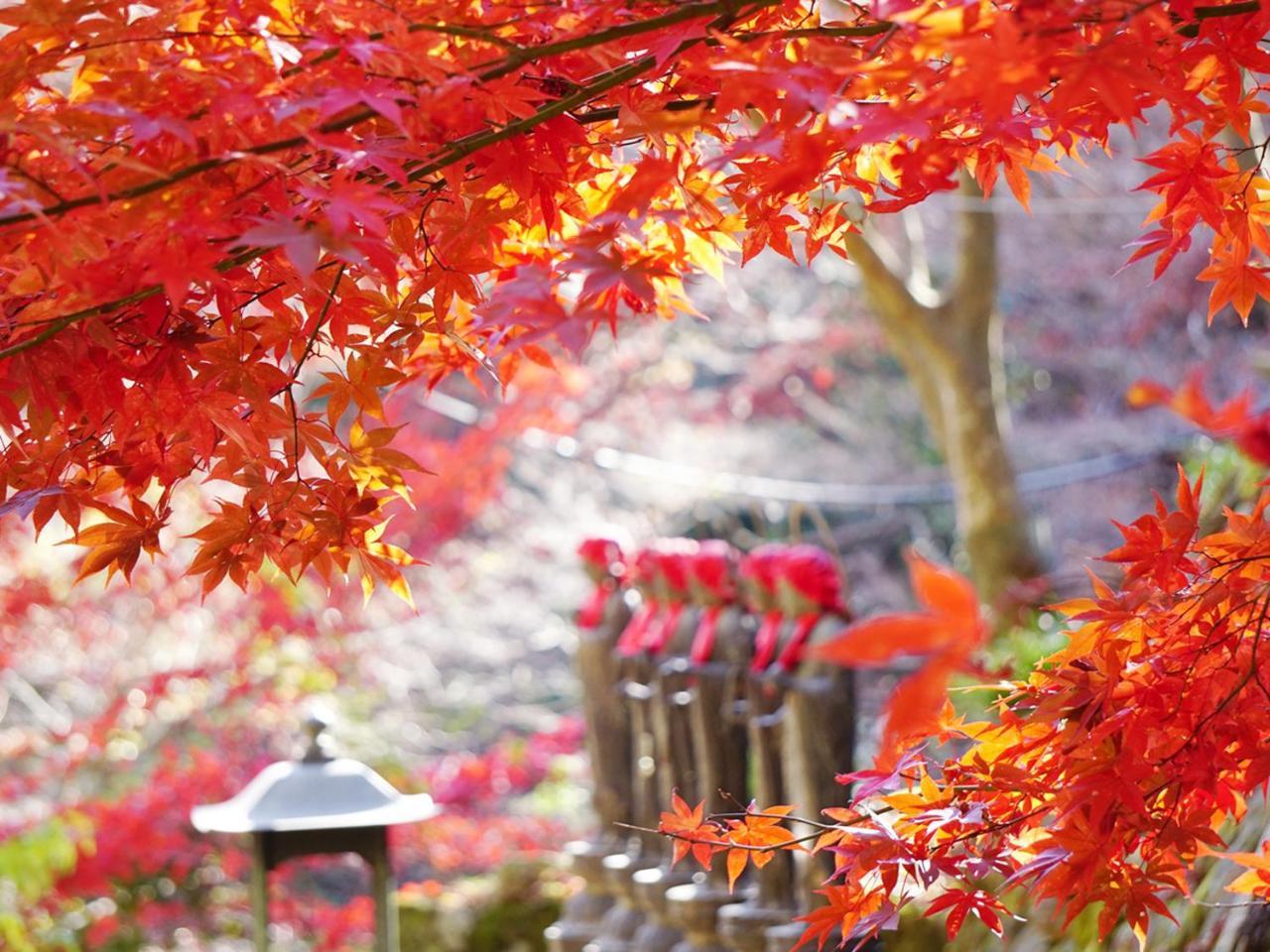 Togakubo Hotel Isehara Buitenkant foto