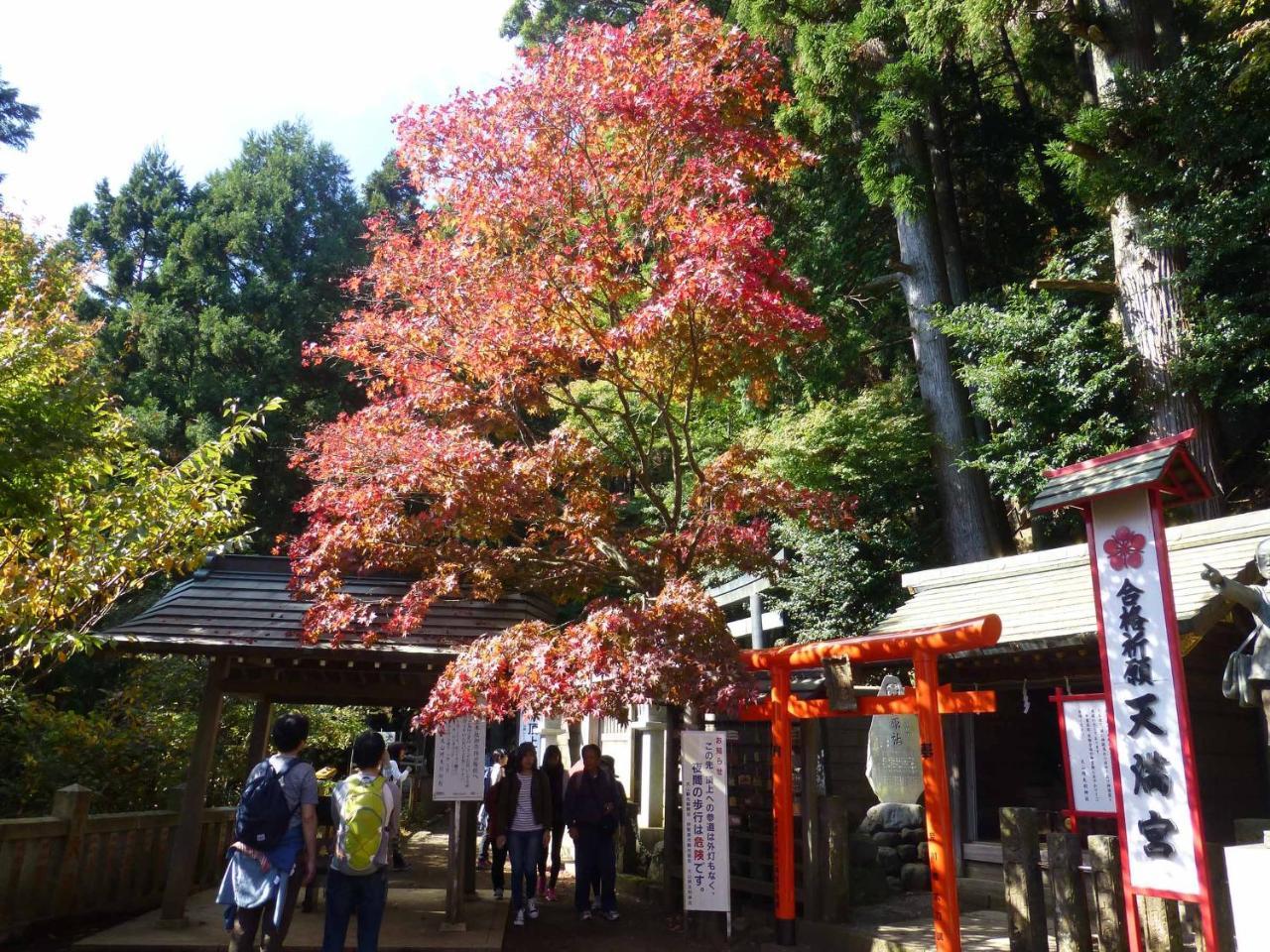 Togakubo Hotel Isehara Buitenkant foto